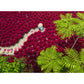 ravensburger-12001707-erwachsenenpuzzle-500-teile-C05342B52.jpg