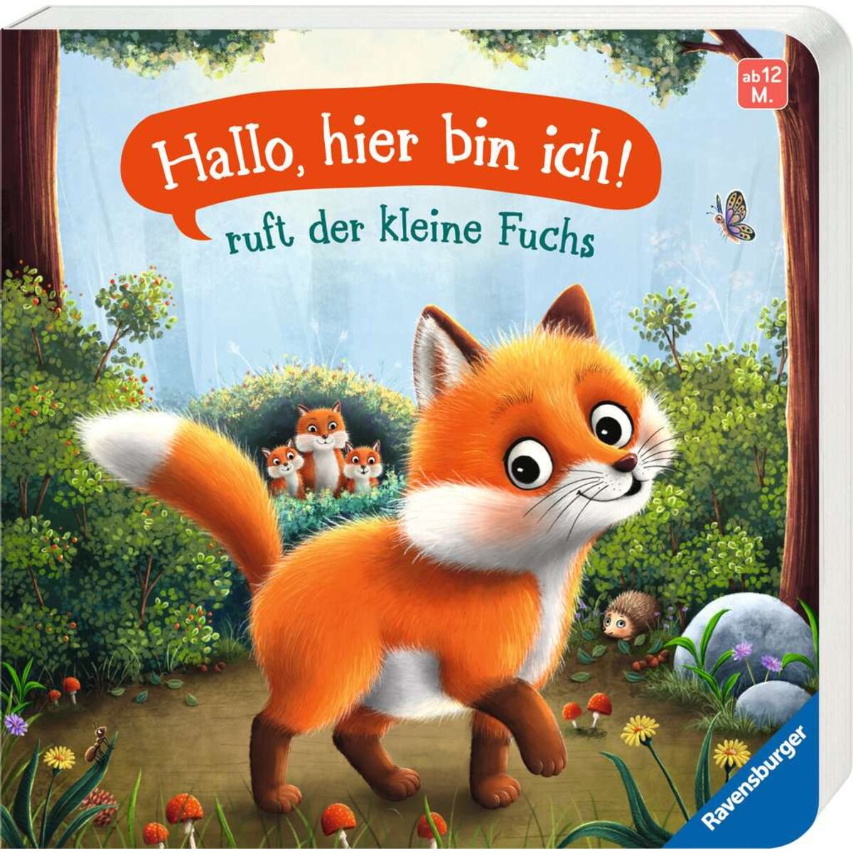 ravensburger-42064-hallo-hier-bin-C60863B31.jpg