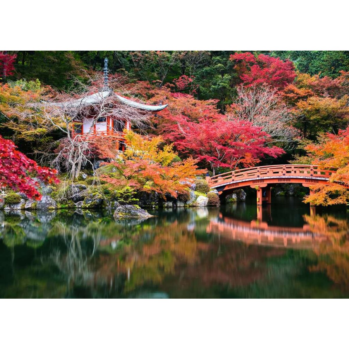 ravensburger-beautiful-garens-daigo-ji-EA9D47422.jpg