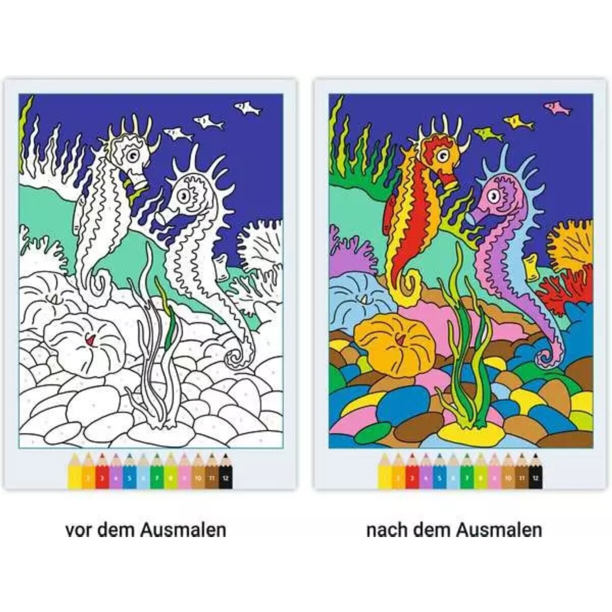 ravensburger-creart-malen-nach-zahlen-664202923.jpg