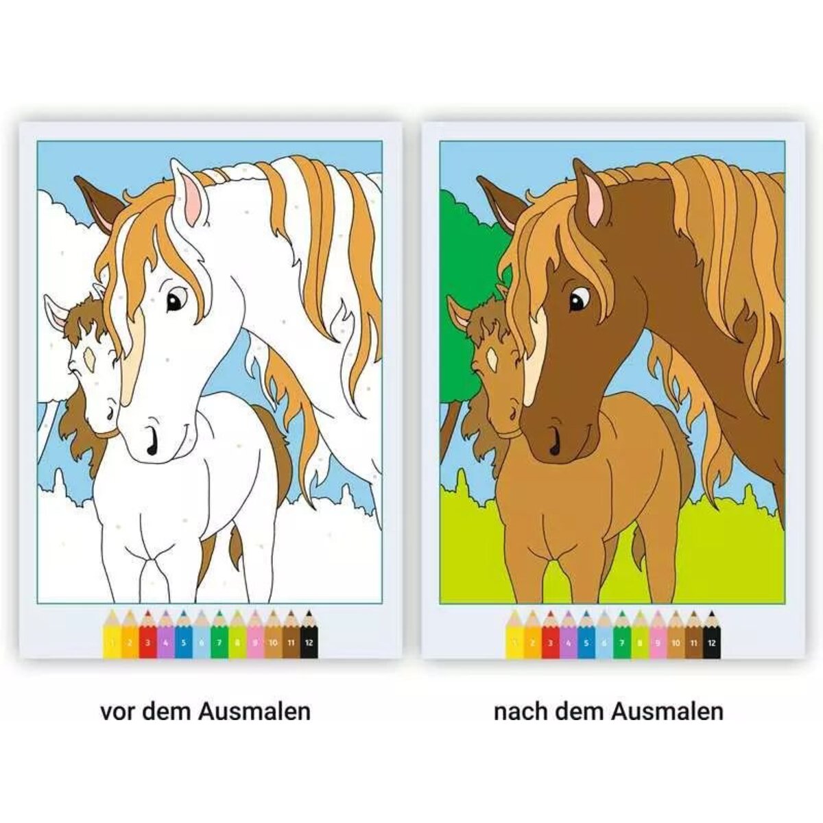 ravensburger-creart-malen-nach-zahlen-D0ADBEE44.jpg