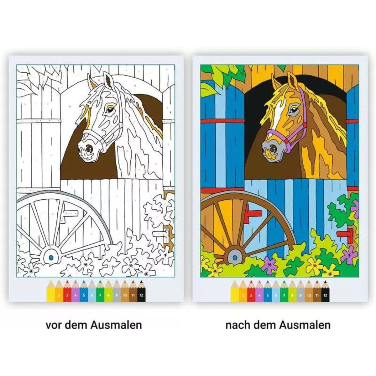ravensburger-creart-malen-nach-zahlen-F7CC3CDC3.jpg