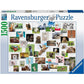 ravensburger-funny-animals-collage-1500-F32F12E01.jpg