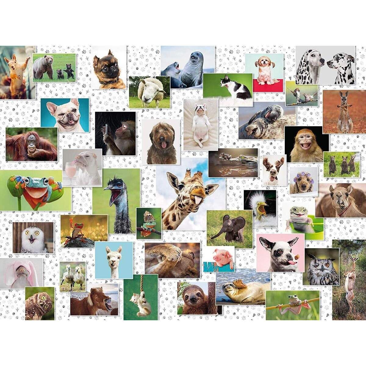 ravensburger-funny-animals-collage-1500-F32F12E02.jpg