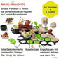 ravensburger-gravitrax-junior-starter-set-E477736D5.jpg