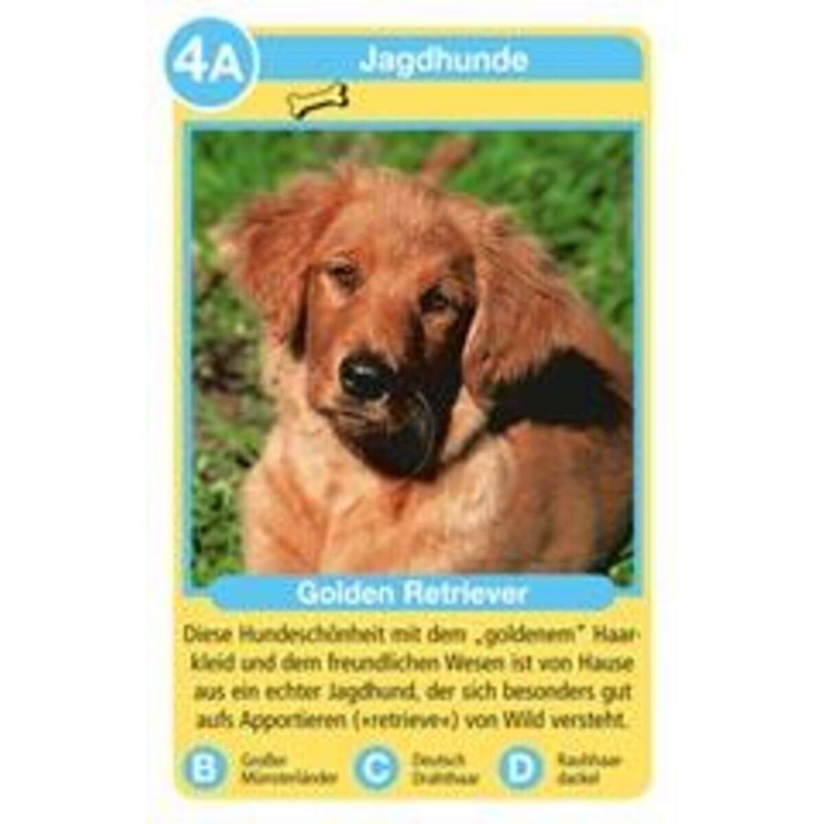 ravensburger-hunde-tier-quartett-679498F63.jpg