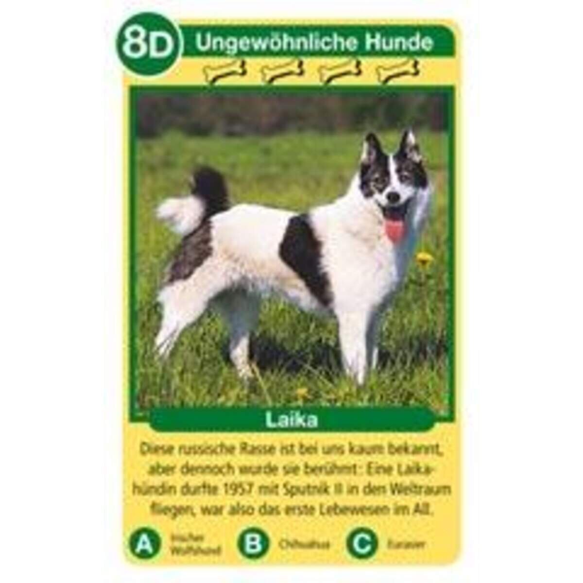 ravensburger-hunde-tier-quartett-679498F64.jpg