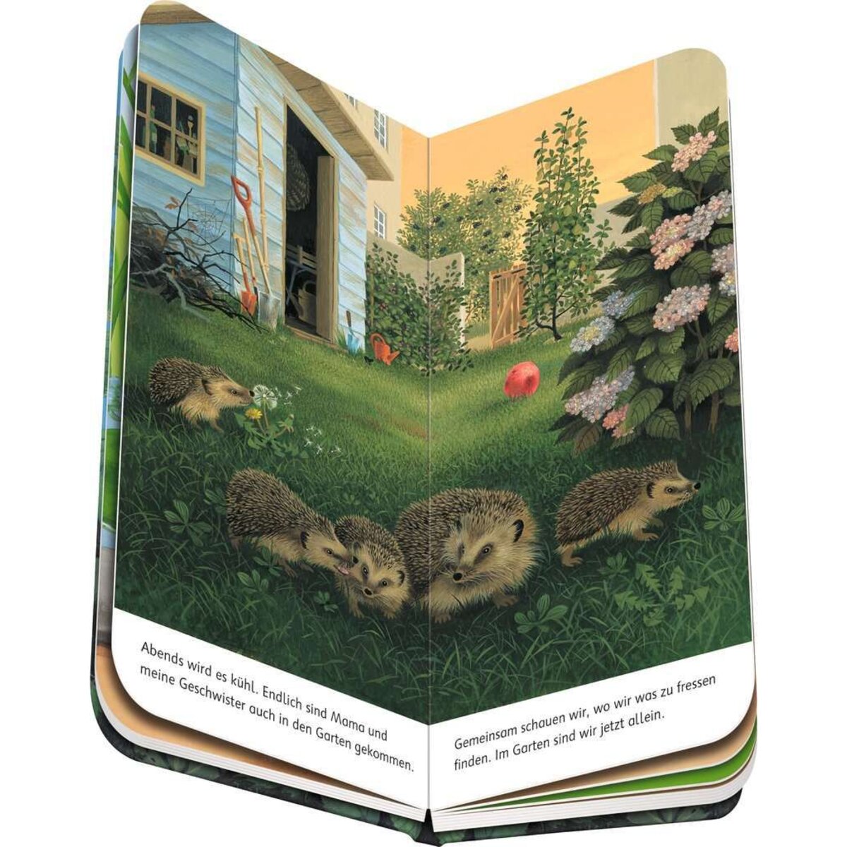 ravensburger-ich-bin-der-kleine-B1F68A7D3.jpg