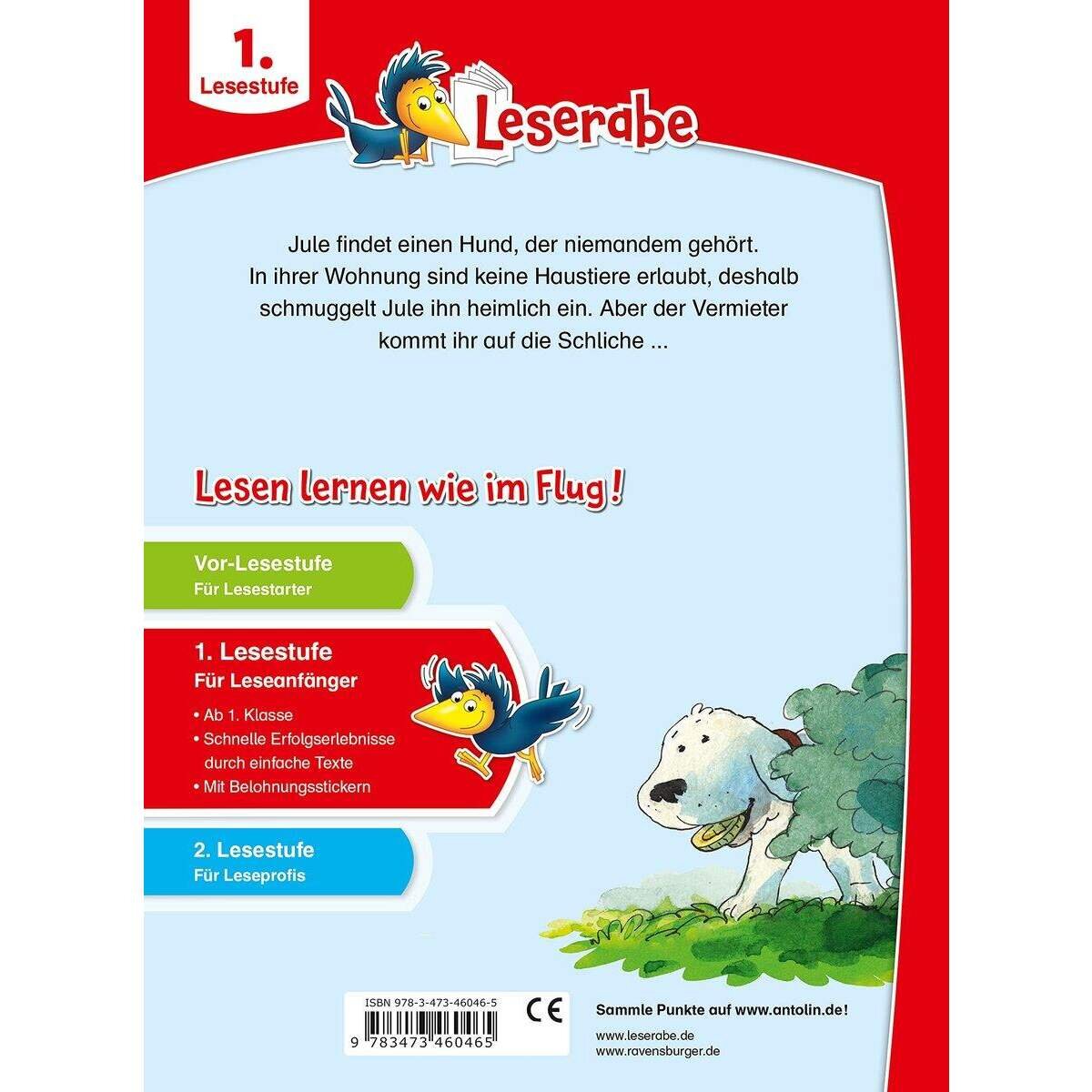 ravensburger-leserabe-1-klasse--033018F12.jpg