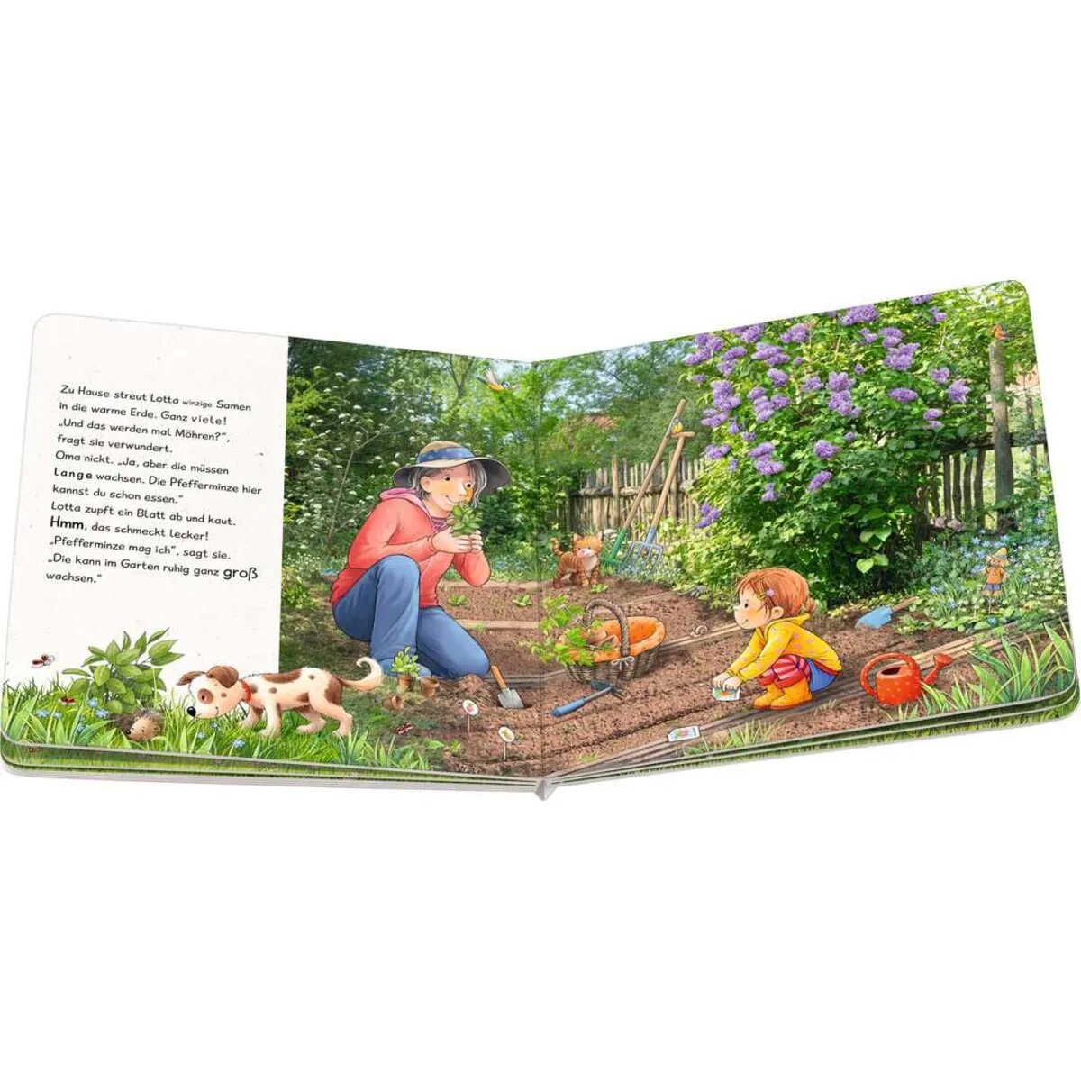 ravensburger-lotta-entdeckt-die-welt-3B19D1163.jpg