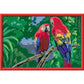 ravensburger-malen-nach-zahlen--C946EBC12.jpg