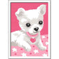 ravensburger-malen-nach-zahlen-chihuahua-9FC302B22.jpg