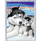 ravensburger-malen-nach-zahlen-husky-1CE5AD292.jpg