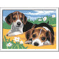 ravensburger-malen-nach-zahlen-jack-8EB464622.jpg