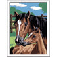 ravensburger-malen-nach-zahlen-pferd-1475D3D02.jpg