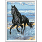ravensburger-malen-nach-zahlen-pferd-94BF8F442.jpg