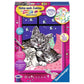 ravensburger-malen-nach-zahlen-schlafende-D748023C1.jpg