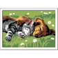 ravensburger-malen-nach-zahlen-tiefer-FBBF164C2.jpg