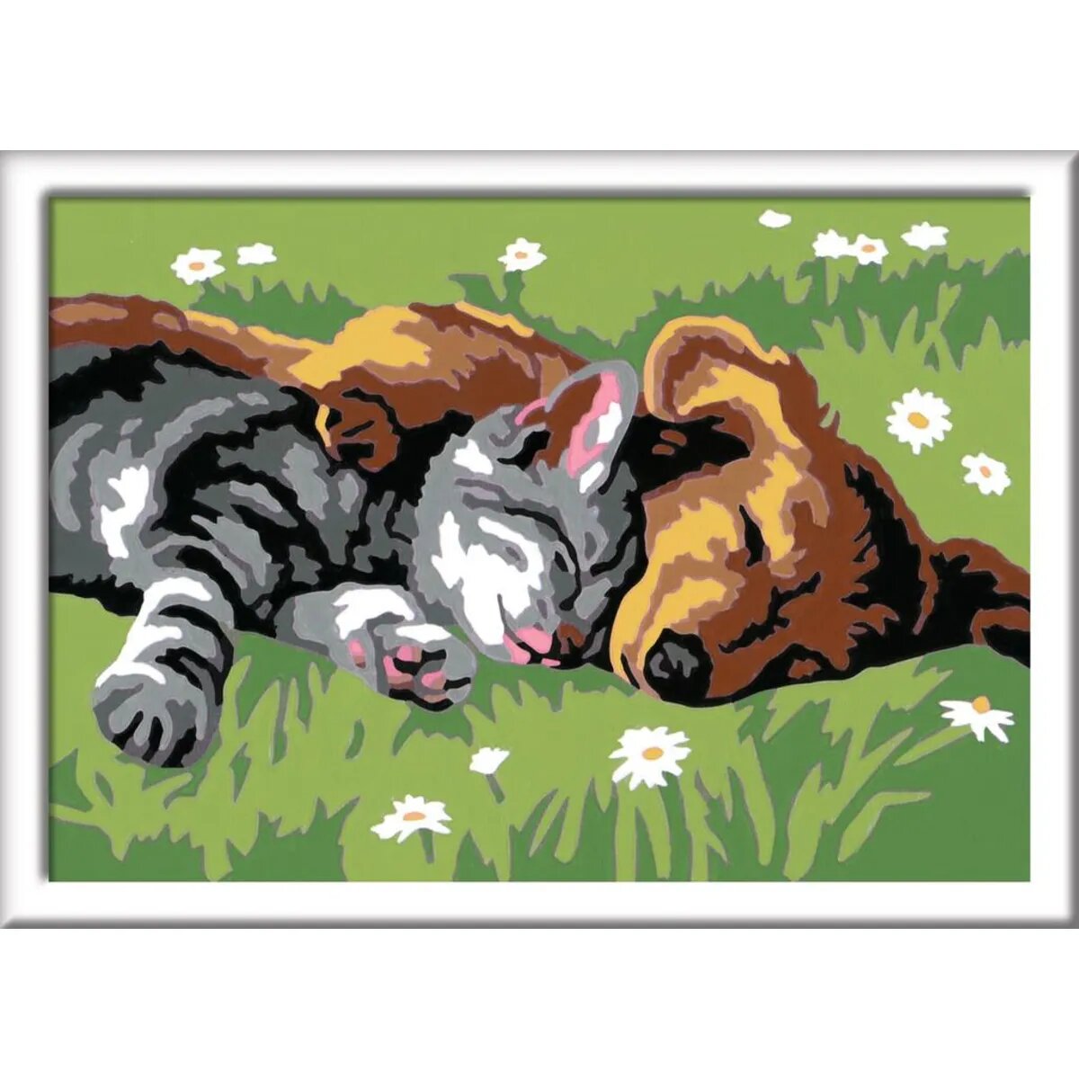 ravensburger-malen-nach-zahlen-tiefer-FBBF164C2.jpg