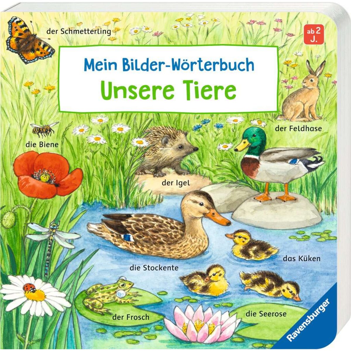 ravensburger-mein-bilder-woerterbuch-unsere-CF8E10411.jpg