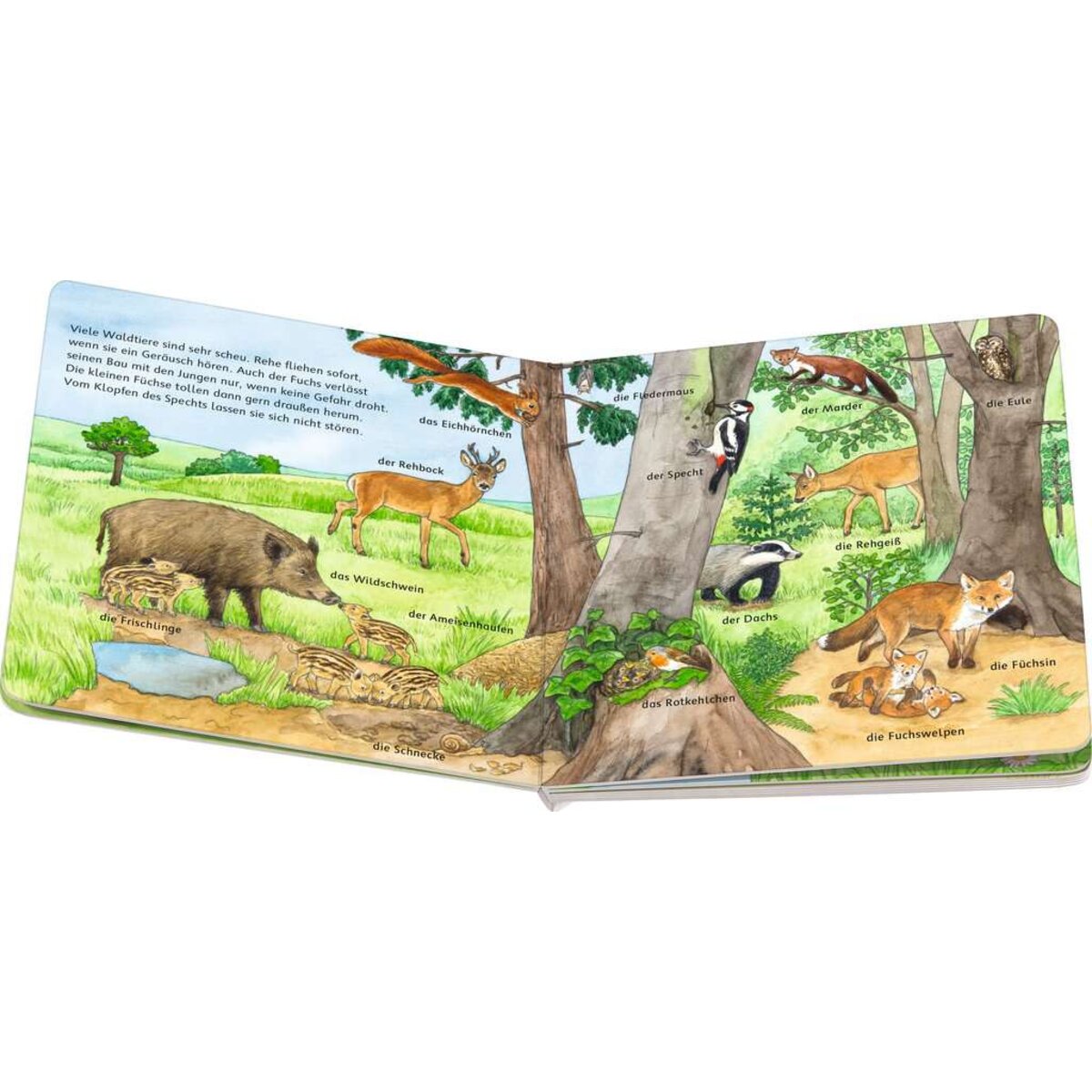 ravensburger-mein-bilder-woerterbuch-unsere-CF8E10413.jpg
