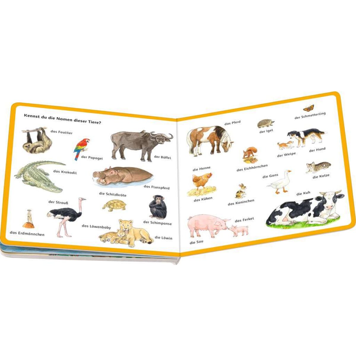 ravensburger-mein-bilder-woerterbuch-unsere-CF8E10414.jpg