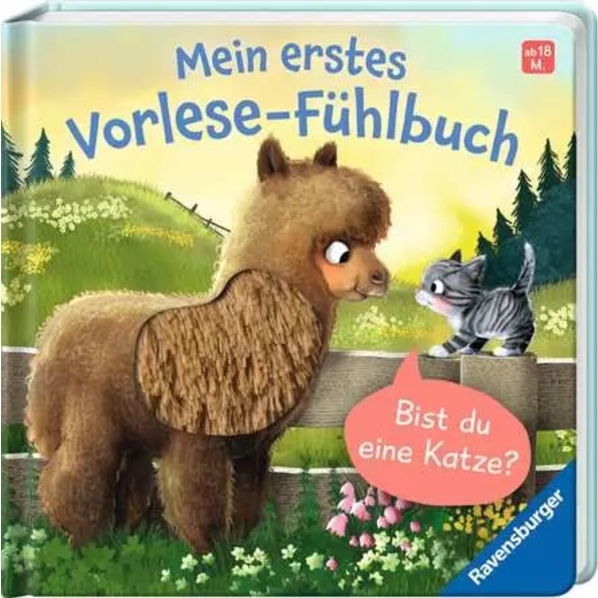 ravensburger-mein-erstes-vorlese-fuehlbuch-7D36185E1.jpg