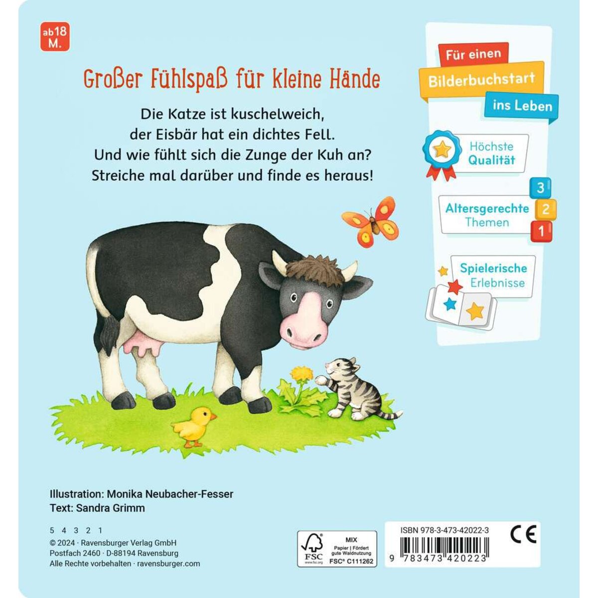 ravensburger-mein-grosses-fuehlbuch--E00C15542.jpg
