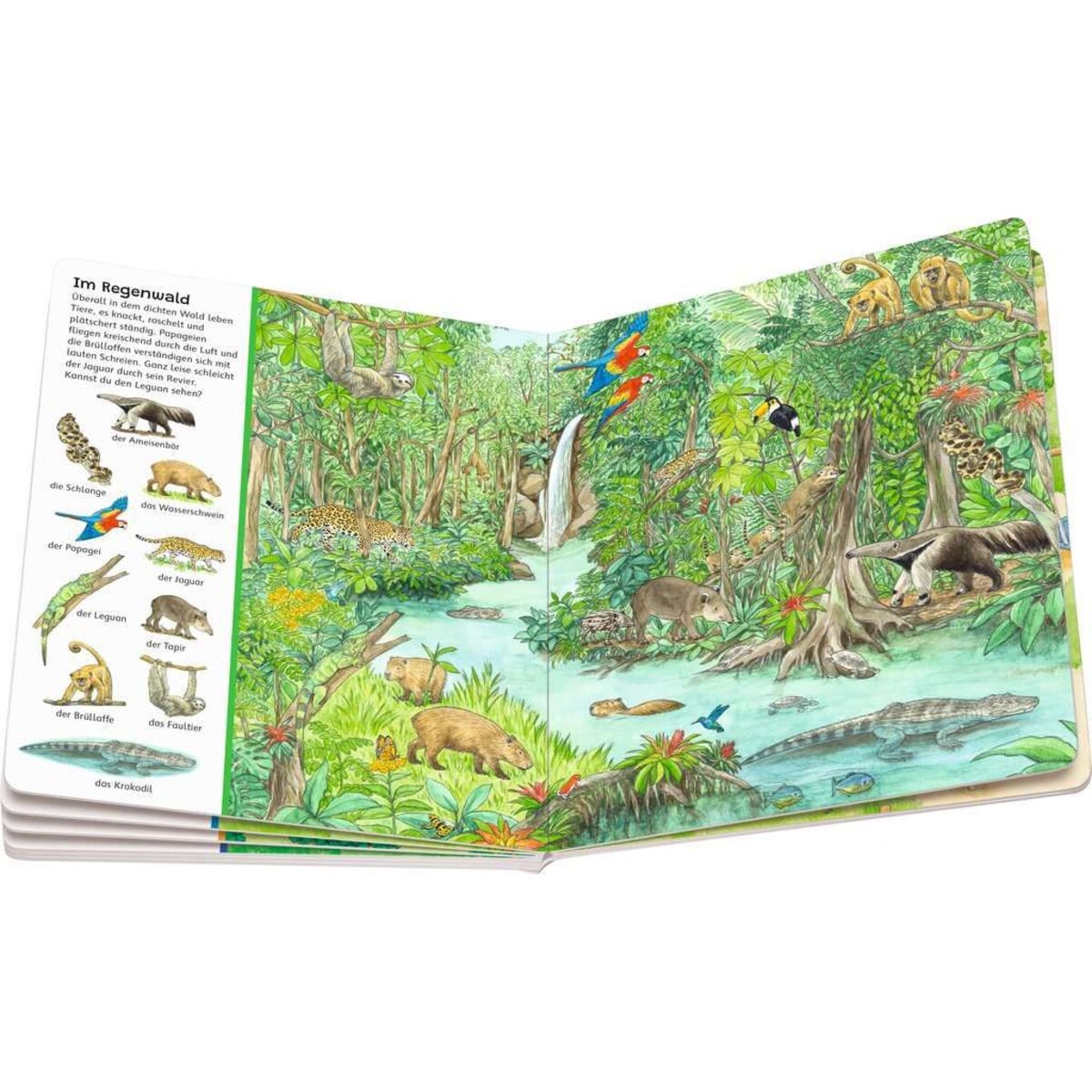 ravensburger-mein-grosses-sachen-suchen-EB64BE023.jpg