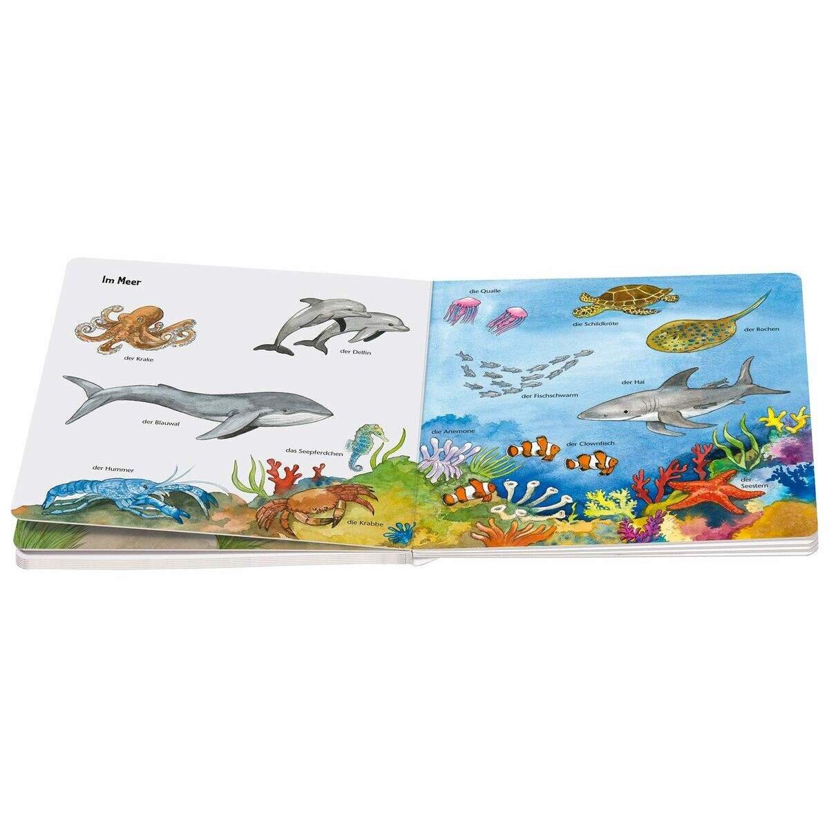 ravensburger-ministeps-mein-allererstes-tierlexikon-C9F667A13.jpg