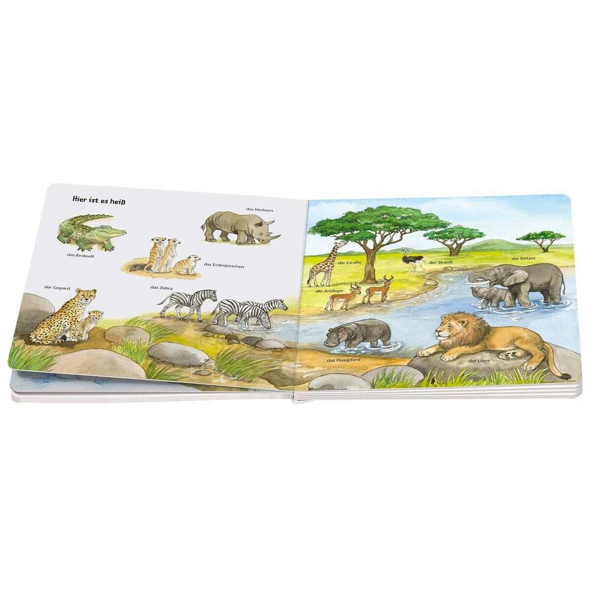 ravensburger-ministeps-mein-allererstes-tierlexikon-C9F667A14.jpg