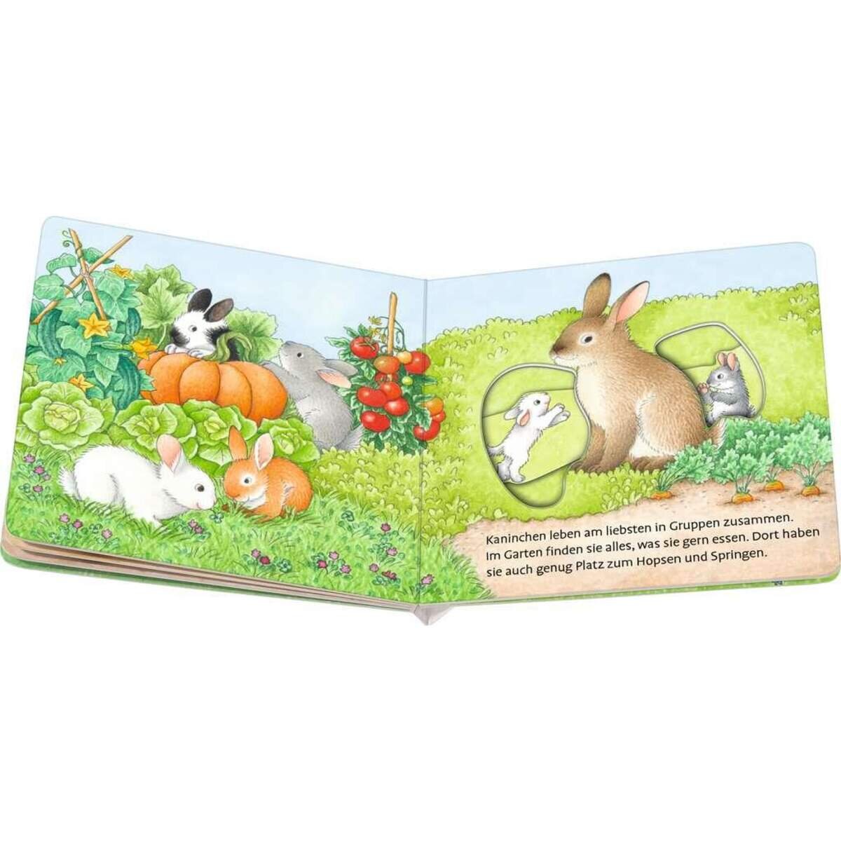 ravensburger-muh-was-frisst-die-AE5E9F514.jpg
