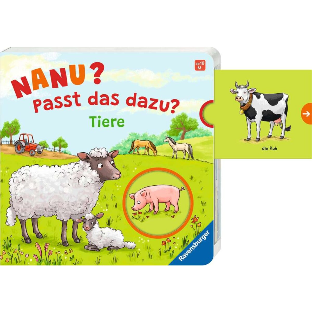 ravensburger-nanu-passt-das-dazu-E00C63532.jpg