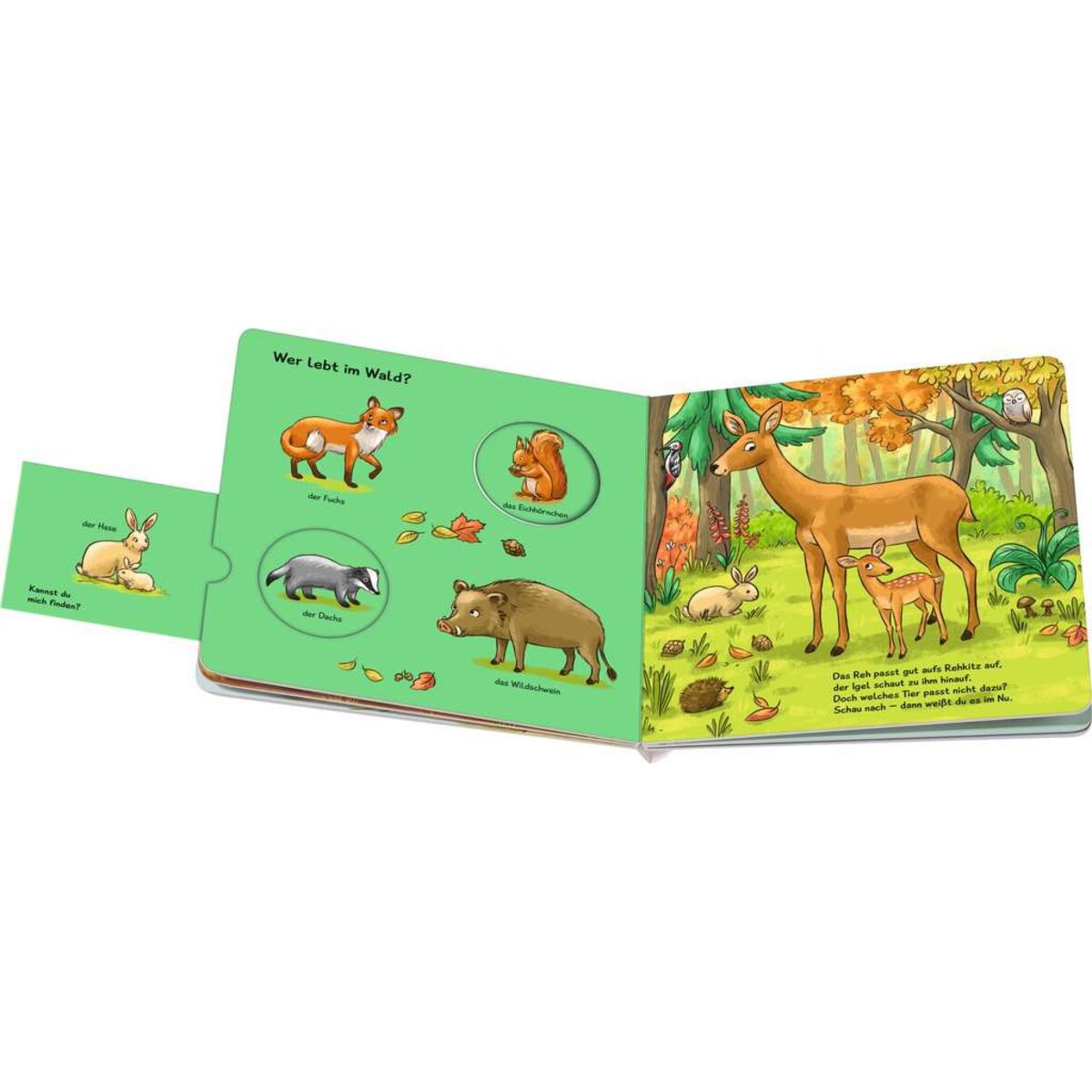 ravensburger-nanu-passt-das-dazu-E00C63534.jpg