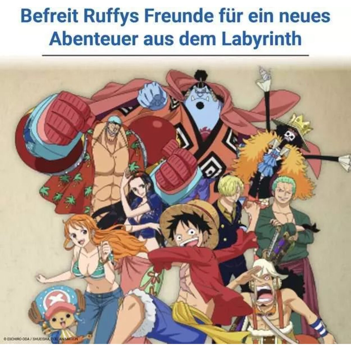 ravensburger-one-piece-labyrinth-F01B38EA5.jpg
