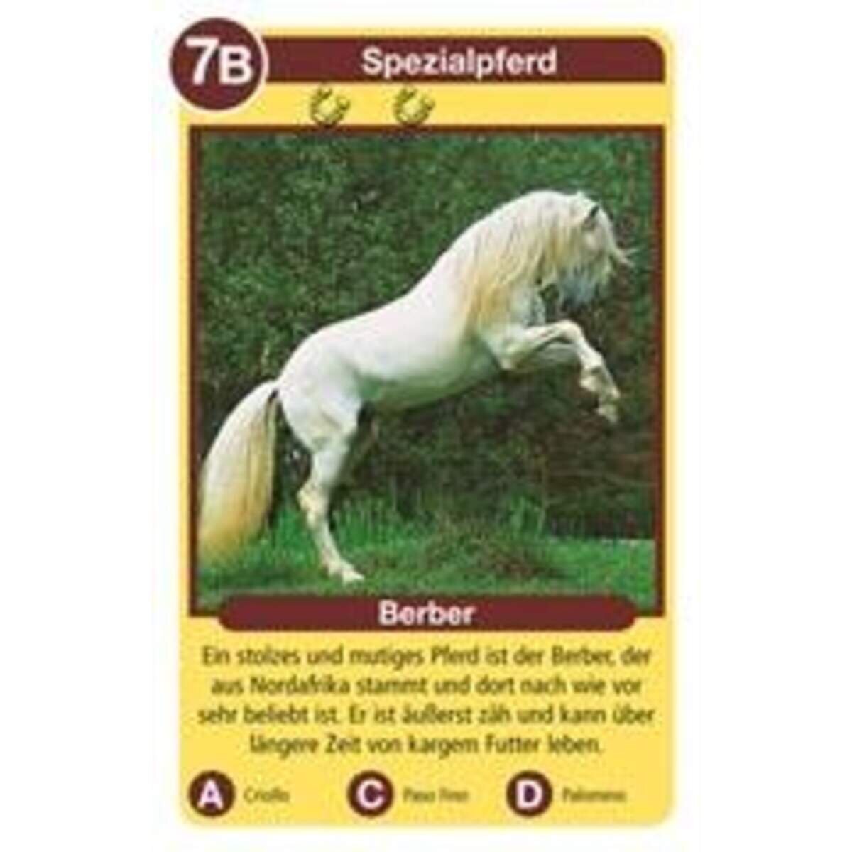 ravensburger-pferde-quartett-D84F61CB3.jpg