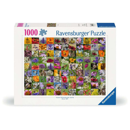ravensburger-puzzle---99-D2B719331.jpg