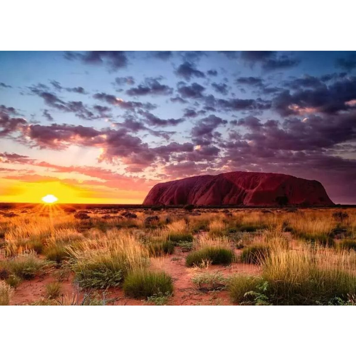 ravensburger-puzzle---ayers-0F2D2BF12.jpg