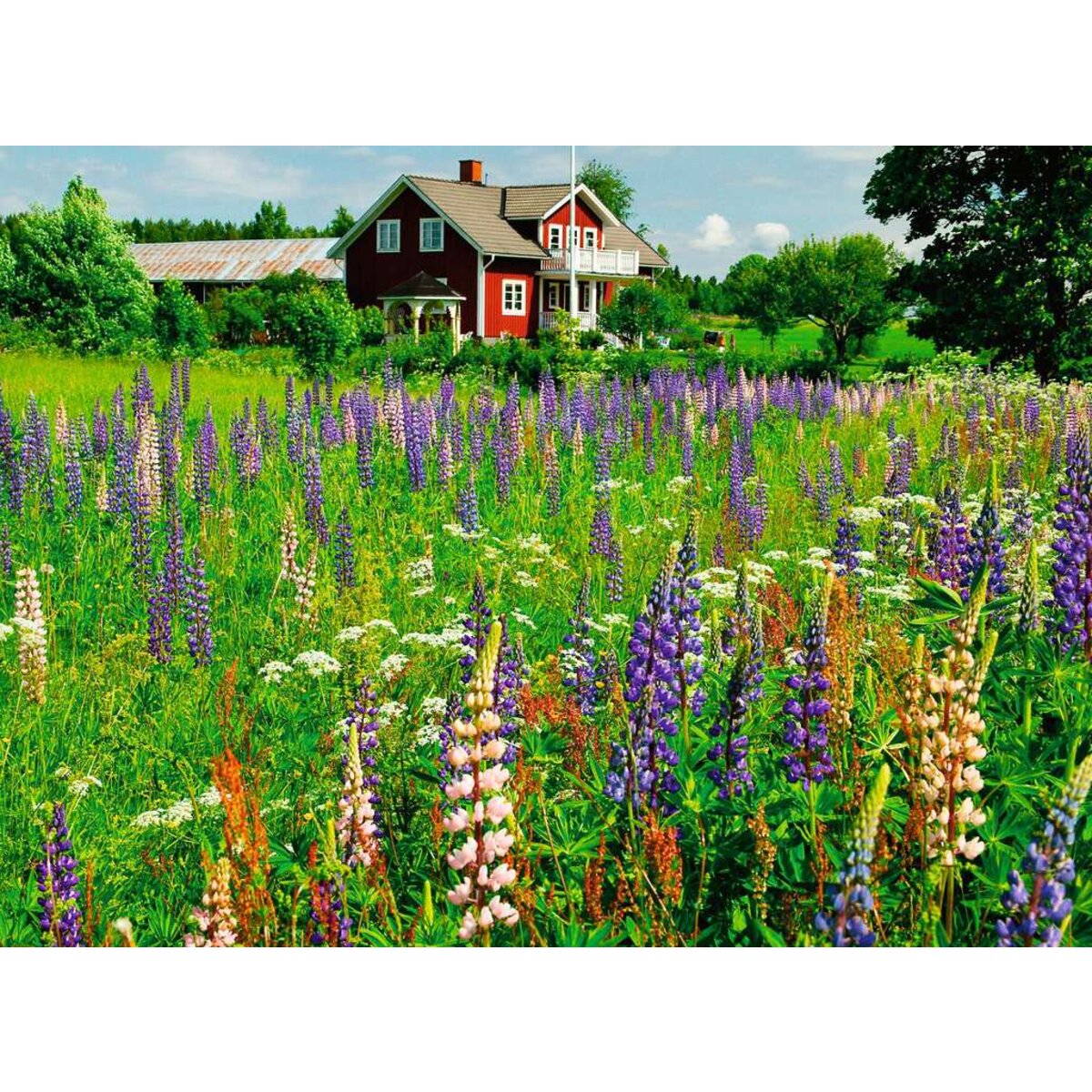 ravensburger-puzzle---bauernhof-B59C74D72.jpg