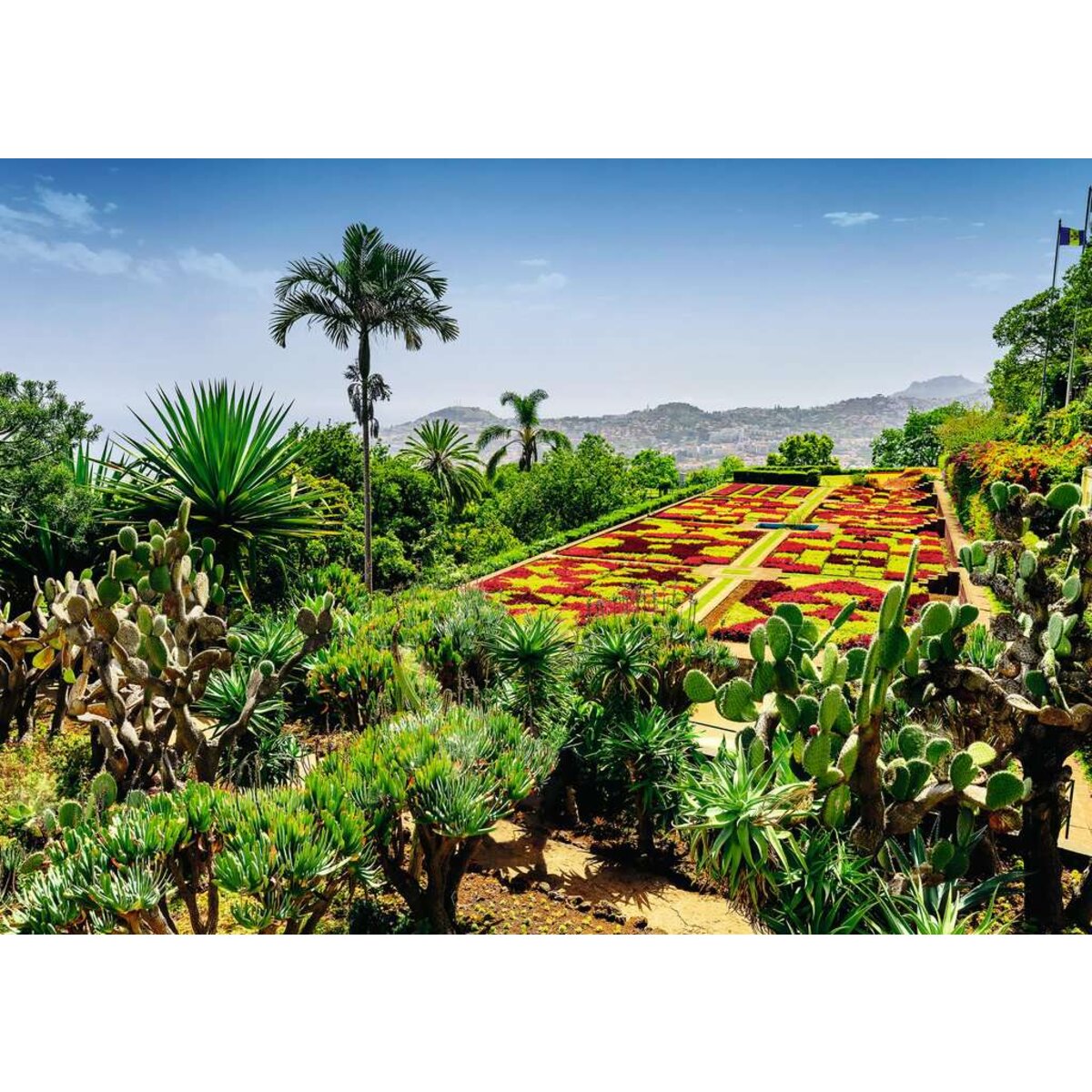 ravensburger-puzzle---beautiful-5B5887A52.jpg