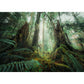 ravensburger-puzzle---faszinierender-E0BA740E2.jpg