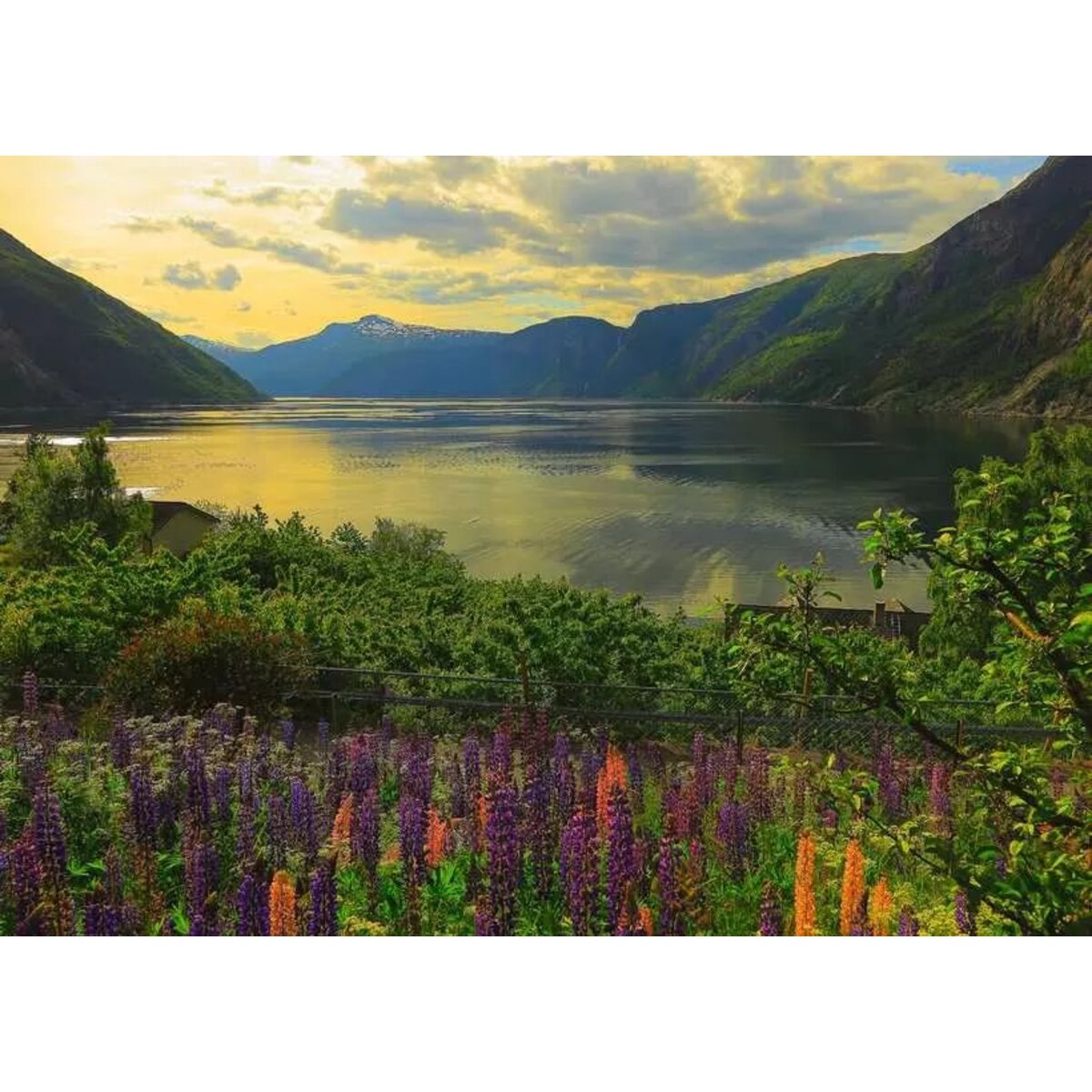 ravensburger-puzzle---fjord-5D719A032.jpg