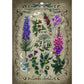 ravensburger-puzzle---giftpflanzen-795C582B2.jpg