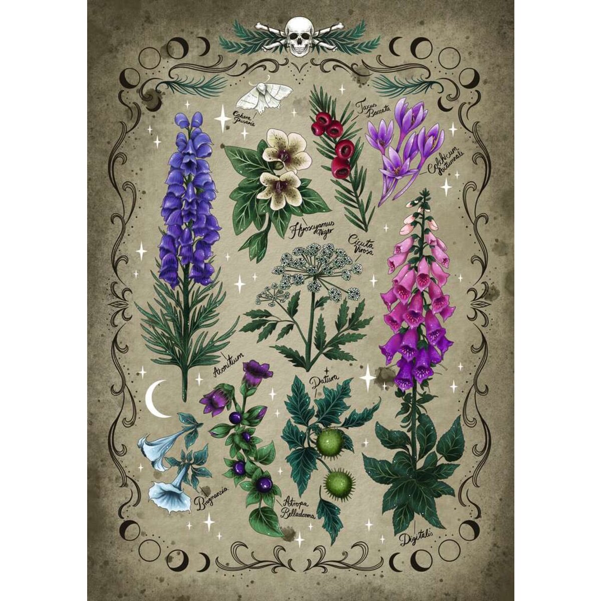 ravensburger-puzzle---giftpflanzen-795C582B2.jpg