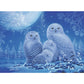 ravensburger-puzzle---glow-DF43E13C2.jpg