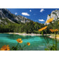ravensburger-puzzle---gruener-F0C1601D2.jpg