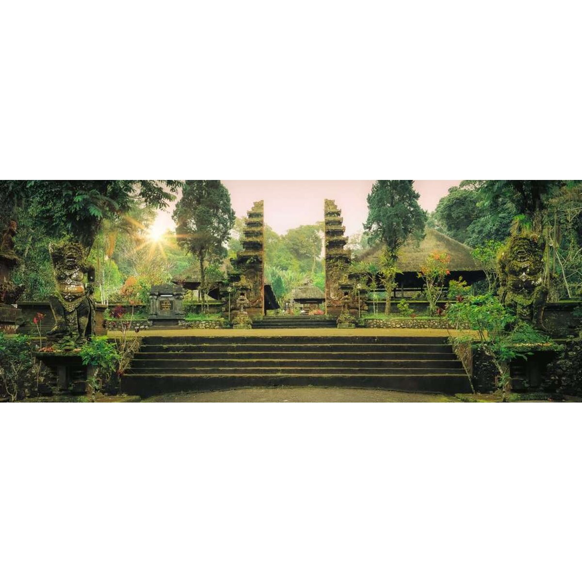 ravensburger-puzzle---jungle-4D5C47B12.jpg