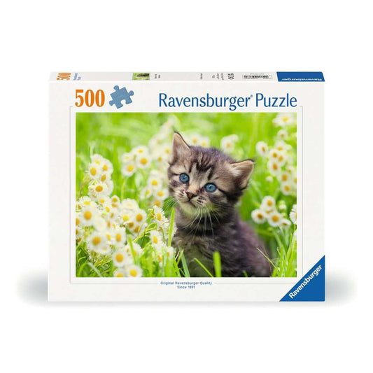 ravensburger-puzzle---kaetzchen-F0771D471.jpg