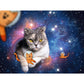 ravensburger-puzzle---katzen-2A5CF6092.jpg