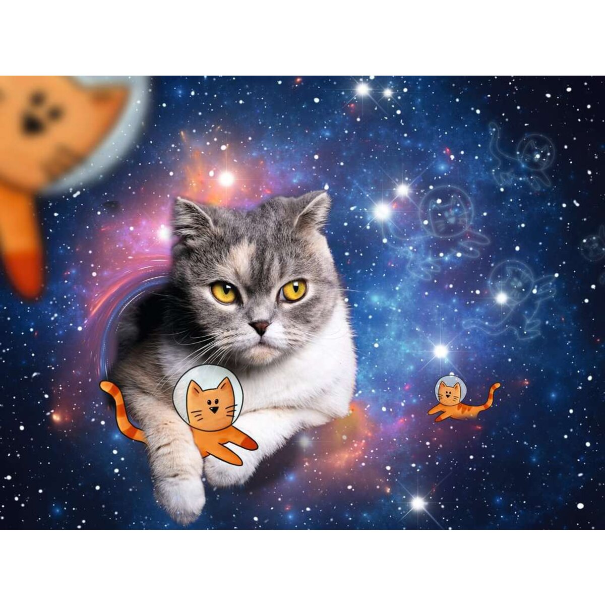 ravensburger-puzzle---katzen-68DEF6092.jpg